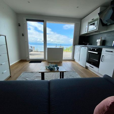 Ferienwohnung Les Vies En Rose Évian-les-Bains Exterior foto