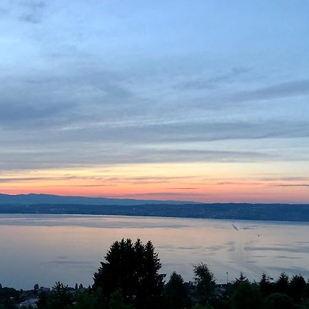 Ferienwohnung Les Vies En Rose Évian-les-Bains Exterior foto